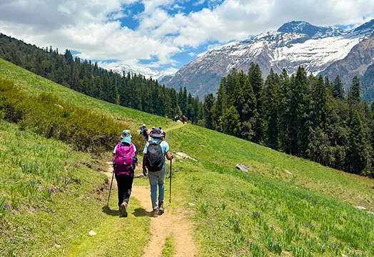 Your First Step into the Himalayas: Choosing the Right Trek